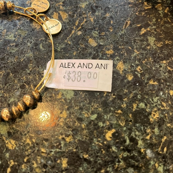 NWT Alex and Ani Canyon Stacking Bracelet Gold Finish - Picture 3 of 3